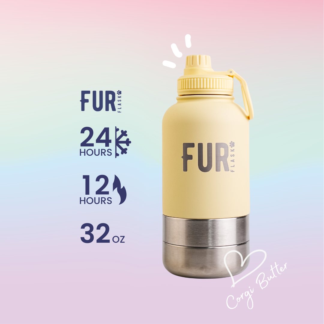 [Free Shipping] [Website Exclusive] FurFlask Butter Corgi