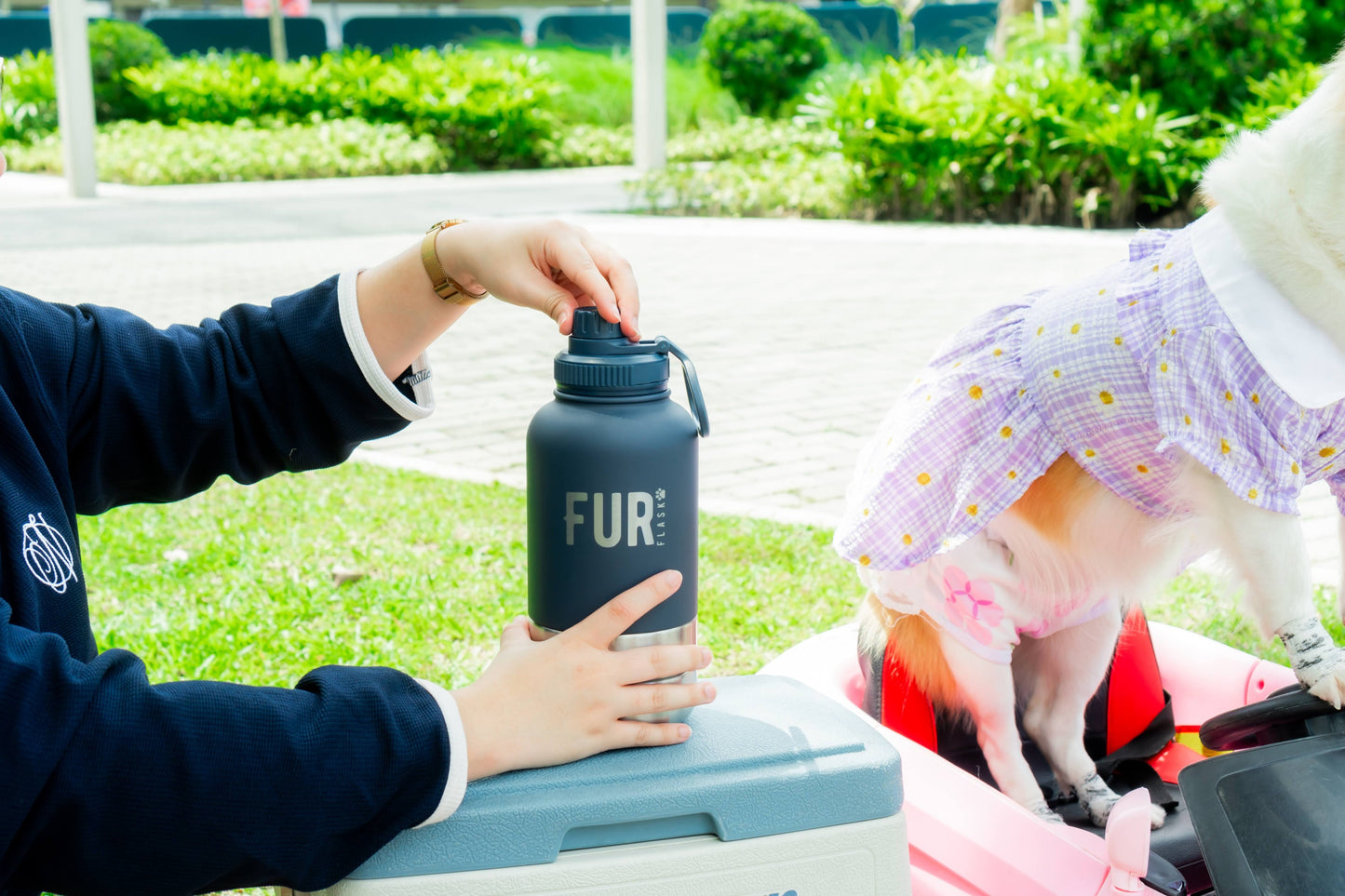 [Free Shipping] FurFlask Aspin Blue