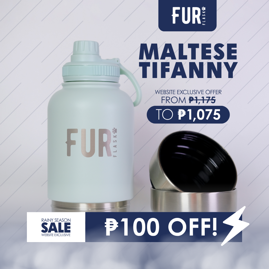 [Free Shipping] FurFlask Maltese Tiffany