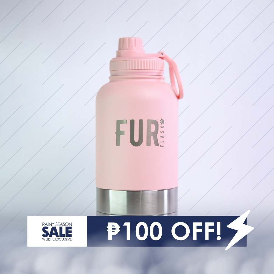 [Free Shipping] FurFlask Shih Tzu Pink